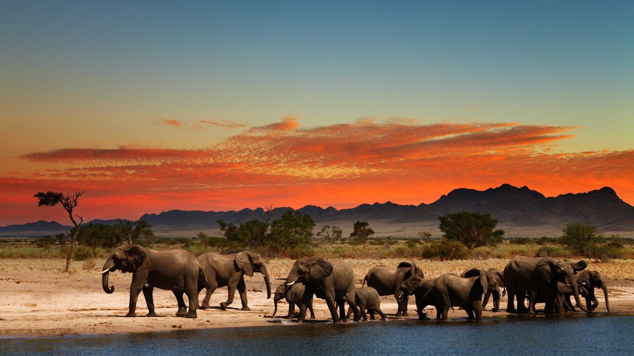 Rejser til Tanzania: Oplev Serengeti-sletten, Gombe Stream National Park og Mwanza