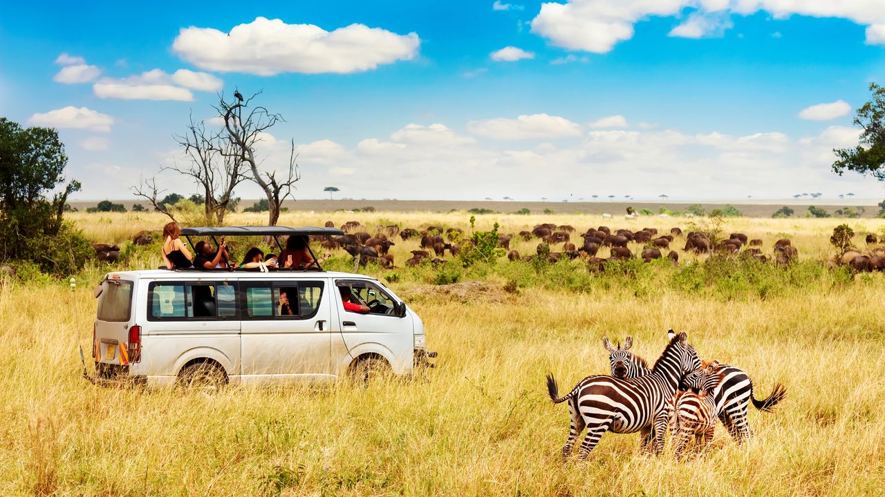 "Oplev Afrikas vilde skønhed: Amboseli og Kgalagadi"