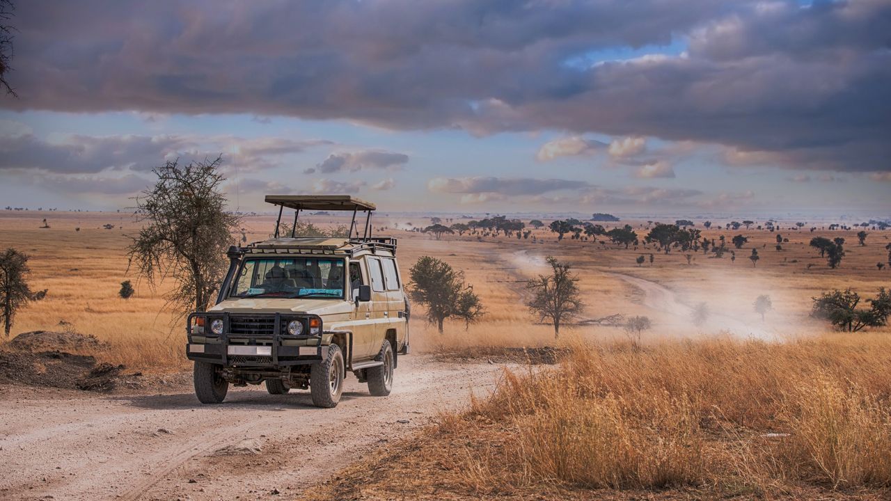 "Udforsk Kitale, Tana River og Masai Mara i Kenya"